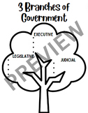 3 Branches of Government Notes + Project