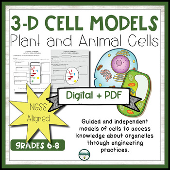 Jello Cell Worksheets Teaching Resources Teachers Pay Teachers