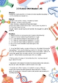 DNA Edible Model Lab:  Edible DNA Strand with candy repres