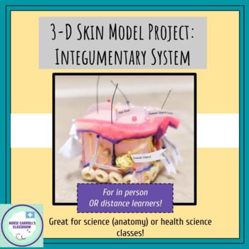 Preview of 3-D Skin Model Project - Integumentary System