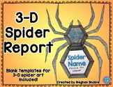 3-D Spider Report 