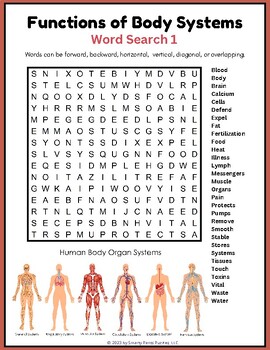 3 FUNCTIONS OF BODY SYSTEMS Word Searches / 71 Total Hidden Words ...