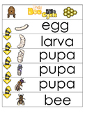 3 Honey Bee Life Cycle Charts and Worksheets. Preschool-1s