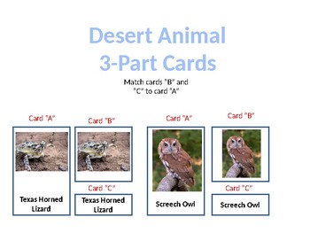 Preview of 3-Part Card Desert Animals in the United States
