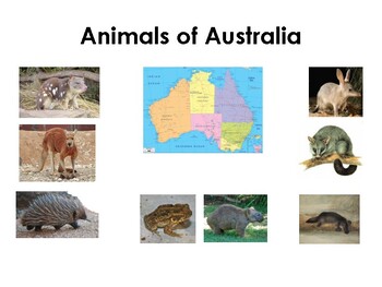 Preview of 3-Part Cards---Animals of Australia