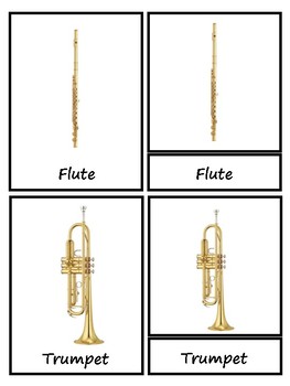 Preview of 3 Part Instrument Nomenclature cards