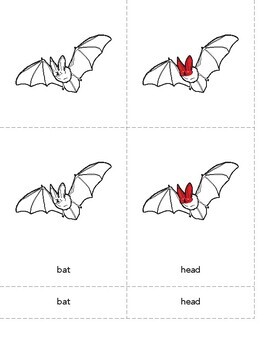 Parts of a Bat - 3 Part Montessori Nomenclature Cards | TpT