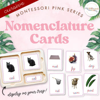 Preview of CURSIVE Montessori Nomenclature 3 Part Card, Pink Series, CVC words, Short AEIOU