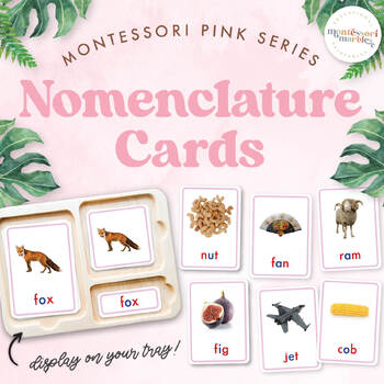 Preview of Montessori Nomenclature Cards, Pink Series, CVC words, Short AEIOU