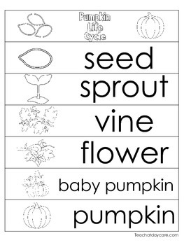 3 Pumpkin Life Cycle Charts and Worksheets. Preschool-1st ...