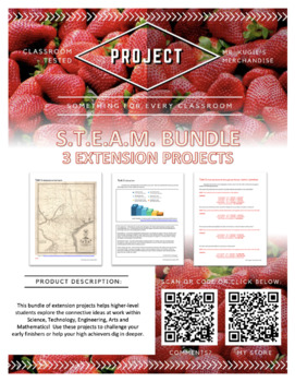 Preview of 3 S.T.E.A.M. Projects | Bundle