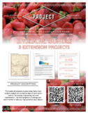 3 S.T.E.A.M. Projects | Bundle