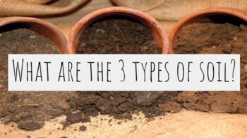 Preview of 3 Types Of Soil Google Slides