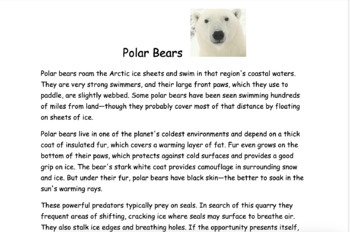 Preview of 3 Types of Bears: Compare and Contrast Writing Lesson