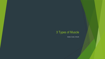 Preview of 3 Types of Muscle Tissue