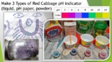 Make 3 Types of Red Cabbage pH indicator (liquid, pH paper
