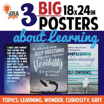 Preview of 3 POSTERS: Curiosity & Critical Thinking: SEL/Social Emotional Learning 18x24in