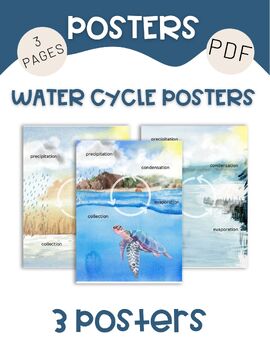 Preview of 3 Water Cycle Posters, PDF
