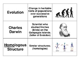 3 Way Match - Evolution/Evidence of Evolution
