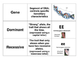 3 Way Match - Genetic Combinations