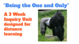 3 Week Distance Learning Inquiry Unit - "Being the One and Only"