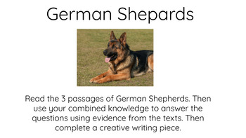Preview of 3 passages about German Shepards 