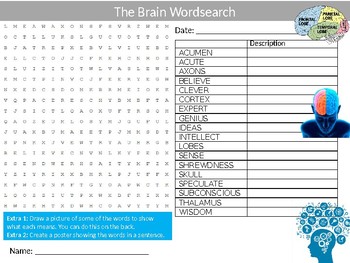 Preview of 3 x The Brain Wordsearch Sheets Starter Activity Keywords Cover Science Biology