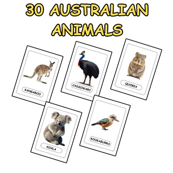 Preview of 30 Australian Animals Flash Cards for Kids