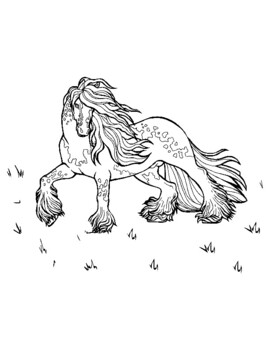 gypsy vanner coloring pages