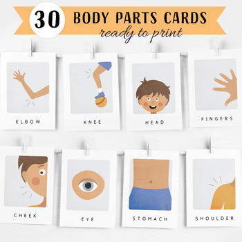 Preview of 30 Body Parts Cards, Rainbow Educational Printable Cards, Montessori flashcards.