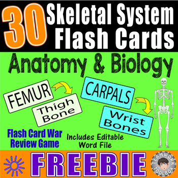 Preview of 30 Bone Names FLASH CARDS ~ SKELETAL SYSTEM~  Flash Card War Game