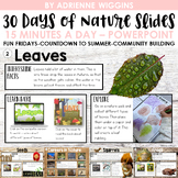 30 Days of Nature Slides for a calm, connected, engaged classroom
