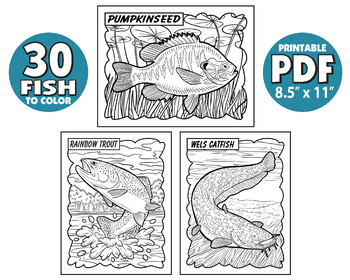30 Freshwater Fish of Britain Coloring Pages, Fishing Coloring Pages, Fish  ID