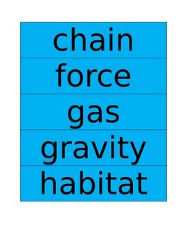 Preview of 30 Next Generation Science Standards Word Wall Words/Flash Cards