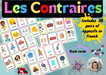 Preview of 30 Pairs of French Opposites Flash Cards