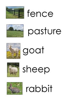 30 farm animals farm related word wall words REAL pictures by Anitra Edney