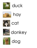 30 farm animals farm related word wall words REAL pictures
