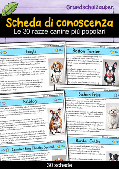 Preview of 30 razze di cani popolari - Schede di conoscenza dei cani (italiano)