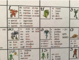 300+ English Spelling Choices - Phoneme to Grapheme Corres