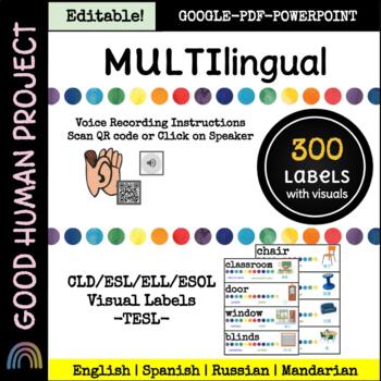 Preview of 300 Multilingual Visual Classroom Labels | Voice Record Option | Editable