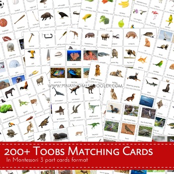Preview of 300+ Toobs Matching Cards Bundle Pack