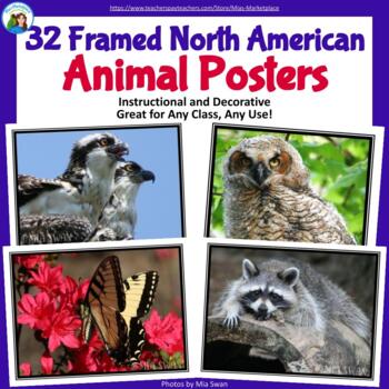 Preview of 32 Framed North American Animal Photo Posters (8.5 x 11, 300 dpi resolution)