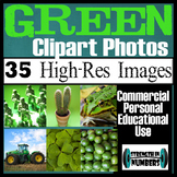 35 Photos GREEN Objects Commercial Clip Art High Res Photographs