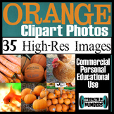 35 Photos ORANGE Objects Commercial Clip Art High Res Photographs