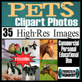 35 Photos PETS/ANIMALS Commercial Clip Art High Res Photographs