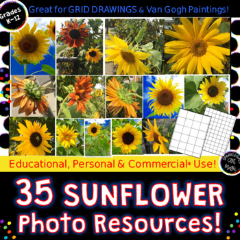 Preview of Sunflowers! 35 Photos! Use for Grid Drawing, VanGogh Sunflower Paintings & More!