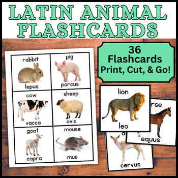 Preview of 36 Latin Language Animal Flashcards - Flash Cards Vocabulary Words w/ Pictures