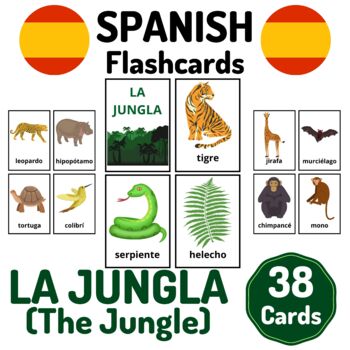 38 Spanish Jungle Vocabulary Flashcards - La Jungla Vocabulario Español