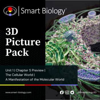 Preview of 3D Biology Picture Pack | Chapter 5 Preview | Other Cellular Components
