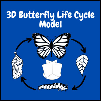 Download 3d Butterflies Worksheets Teaching Resources Tpt